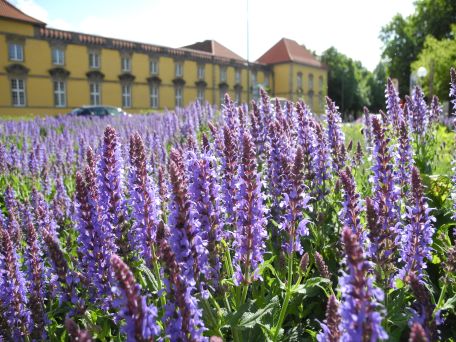 Schloss